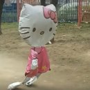 쇼팔로비치 유랑극단 | 20 잘가