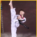 153태권도장 | 가평태권도 가평의 자랑, 빛나는 29년 전통 '혜성태권도장'