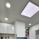 동물병원 유피 이미지