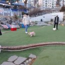 호두애 네이버블로그
