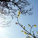 노안초등학교 이미지