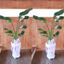 교방동140 이미지