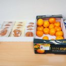 유진 건축사사무소 이미지