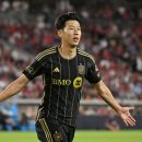 목터져라 이미지