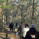 들꽃효소마을 이미지