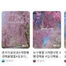 거창군남상면임불보건진료소 이미지