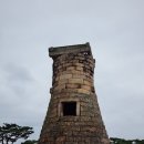 아메리카로 떠나는 세계역사문화여행 | 댕댕이와 함께 동행하는 경주세계문화유산여행 경주 펫투어 1박 2일 로망스투어 후기