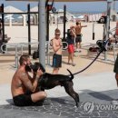 예루살렘미용실 이미지