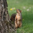 현대의상(심화) | 초등학교 졸업사진, 자연스러운 표정, 준비사항 알아보기