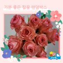 필;꽃