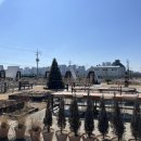 소금꽃정원 | 청주베이커리카페 추천 토성마을｜정상동 정원카페 두바이 소금빵 후기