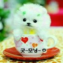 촌놈밥상 이미지