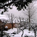 종화농장 이미지