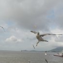 (주)새길 이미지