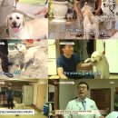 호야 농장 이미지