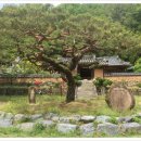 평광농장 이미지