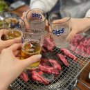 진또배기조선한우 이미지