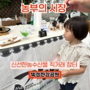 농부농수산물판매 | [뚝섬한강공원 농부의 시장] 아이와 가볼만한 주말...농수산물 직거래 시장 후기 (흑돼지 먹방·판매...