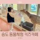 송도 애니멀클럽 동물 키즈카페 먹이체험 후기