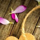 [1급과정] 감정코칭지도사 1급 이미지