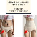 도도킹코리아 이미지