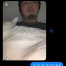 강진-14 | 11 / 14 • 강진 나들이 (설성식당, 800살 병영면 은행나무, 가우도 출렁다리, 짚라인)