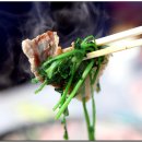 수호농장 이미지