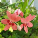 이인철의원 이미지