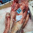 송도수산 이미지