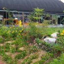 동춘농장 이미지