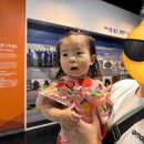 기장밧데리 | 국립수산과학관 부산 기장 아이랑 가기 좋은 여름 실내 체험 후기