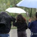 내일이랑 모레는 비가 많이 온대요 이미지