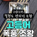 거제도 낚시 포인트 칠천도 선외기 241216 조황