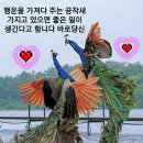 (주)스마트비전컴 - 강남구 | (주)스마트비전컴