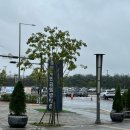 해변공원 야외화장실 사무동 | 인천 당일치기 캠핑 “청라 해변공원 캠핑장” - 인천캠핑장 당일캠프닉 바베큐존 후기