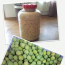 순창토종매실 이미지