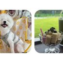 봄이야 놀자 이미지