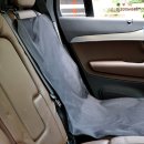 시소 펫 이미지