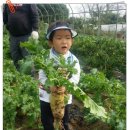 대동농장 이미지