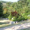 단지장골 이미지