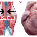 삼성휘트니스 이미지