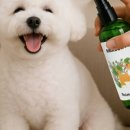 주식회사 펫프렌즈 이미지