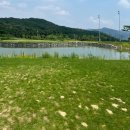 프로세탁소 | 올데이cc 잔디상태 나쁨 전국 파쓰리 갈만한 곳