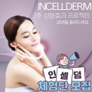 구미 인셀덤 보타랩