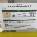 김해 목재문화박물관 나들이｜아이들과 봄기운 가득한 실내 나무 놀이터 체험 후기