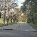 CU산청덕산점 이미지