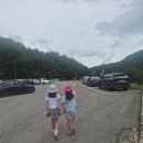 평새말목장2 | 평창 대관령하늘목장 트랙터, 동물먹이주기 등 초등아이들과 다녀온 상세후기