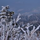 【 2018년 1월 산행 】103회 강원도 평창 오대산 이미지