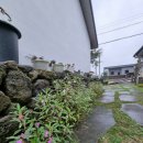 안나앤폴 | [제주 일주일살기 숙소추천] 돌담이네(제주도 에어비앤비 추천)