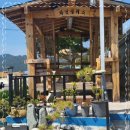 카페파인 이미지